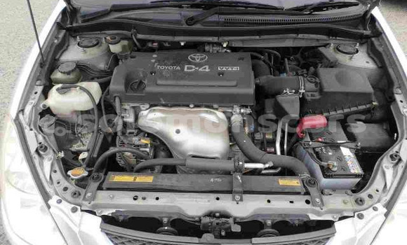 Acheter Occasion Voiture Toyota Caldina Autre à Buala, Isabel Acheter Occasion Voiture Toyota Caldina Autre à Buala, Isabel