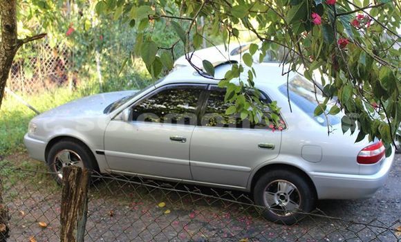 Buy Used Toyota Corolla Other Car in Auki in Malaita Buy Used Toyota Corolla Other Car in Auki in Malaita