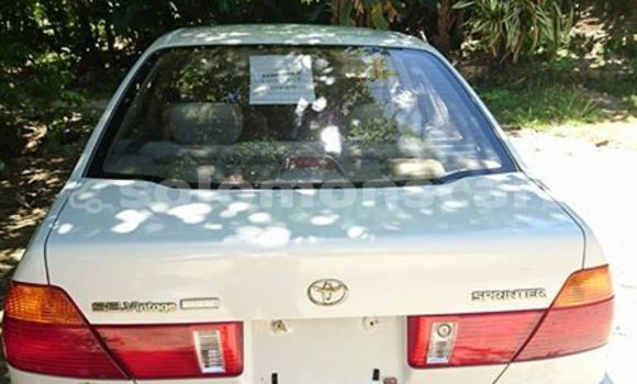 Medium with watermark post id 3540 k9tnq