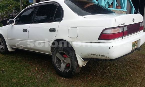 Buy Used Toyota Corolla Other Car in Honiara in Guadalcanal Buy Used Toyota Corolla Other Car in Honiara in Guadalcanal