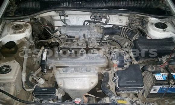 Buy Used Toyota Sprinter Other Car in Taro Island in Choiseul Buy Used Toyota Sprinter Other Car in Taro Island in Choiseul