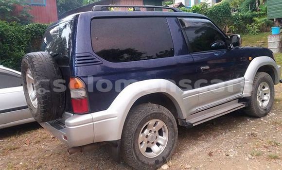 Medium with watermark post id 3205 3ylxi