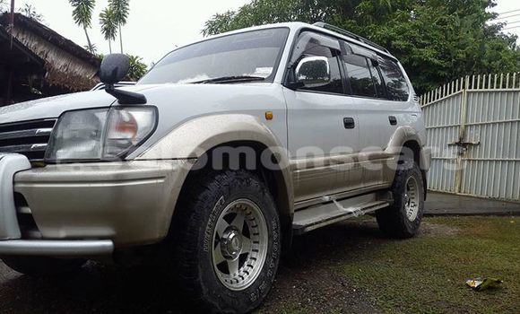 Buy Used Toyota Land Cruiser Other Car in Buala in Isabel