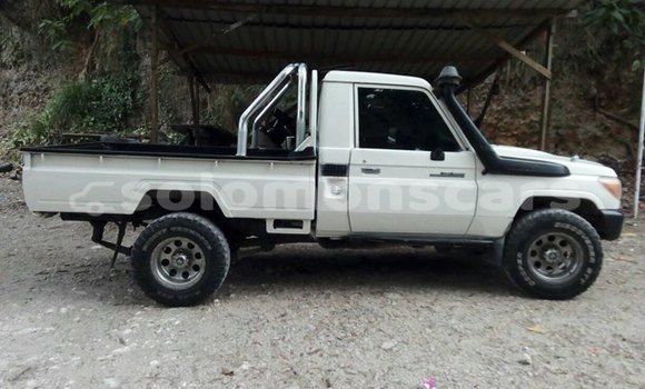 Medium with watermark 30623955 578122035882356 6857030771144654848 n