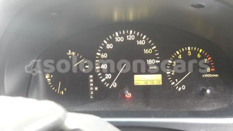 Big with watermark 42825748 504618903387675 429196631645093888 o