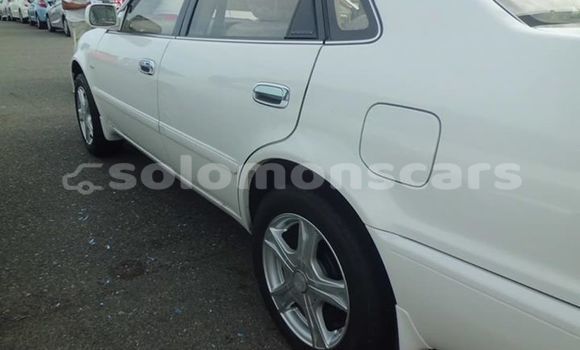 Medium with watermark 42904308 10156767665820842 7954448795637383168 n