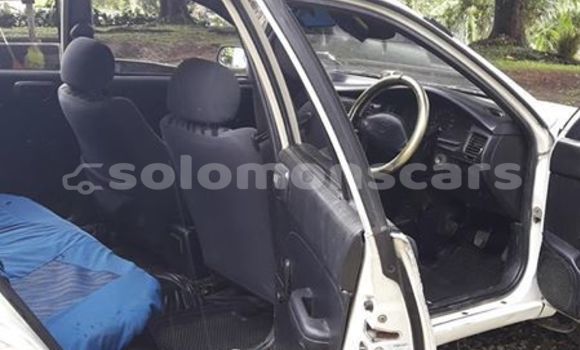 Medium with watermark 42971980 1835015616611570 1129676836658216960 n