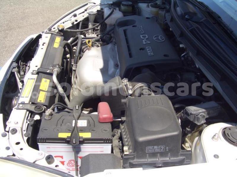 Big with watermark 8kv0wn1q2ya7xncdqbtbgv3jfssqdrdqoia83i41uhwe