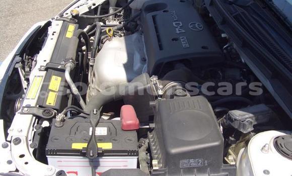 Acheter Occasion Voiture Toyota Caldina Blanc à Honiara, Guadalcanal Acheter Occasion Voiture Toyota Caldina Blanc à Honiara, Guadalcanal