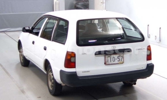 Acheter Occasion Voiture Toyota Corolla Blanc à Munda, Western Acheter Occasion Voiture Toyota Corolla Blanc à Munda, Western