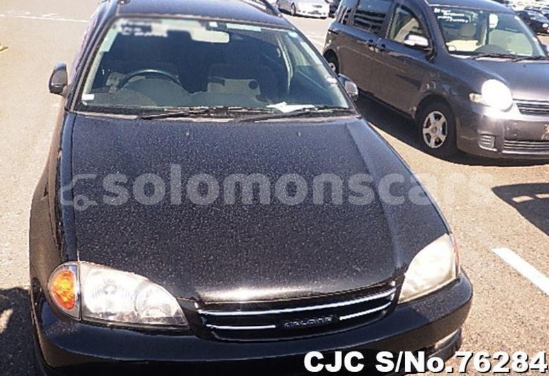 Big with watermark capture5