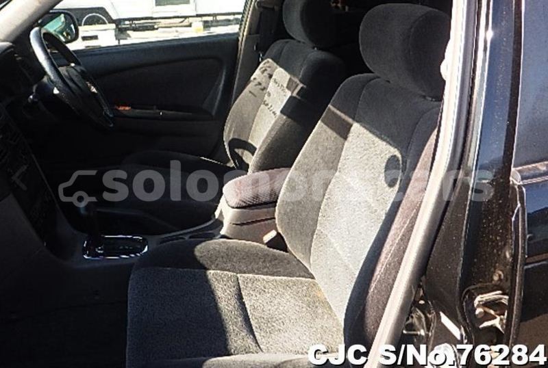 Big with watermark capture12