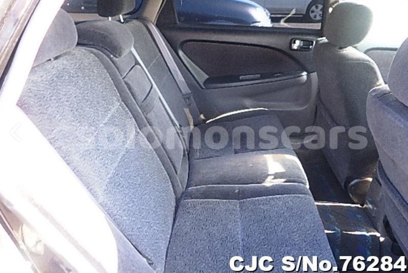 Big with watermark capture13