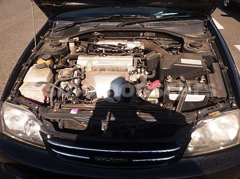 Big with watermark capture20