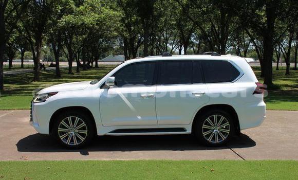 Acheter Occasion Voiture Lexus LX 570 Blanc à Baolo, Isabel