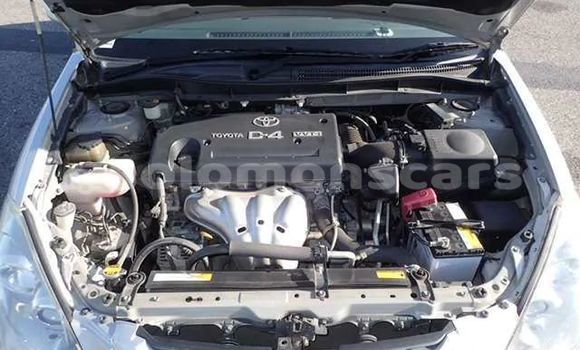 Buy Used Toyota Caldina Silver Car in Honiara in Guadalcanal Buy Used Toyota Caldina Silver Car in Honiara in Guadalcanal