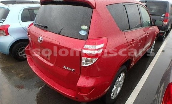 Buy Used Toyota RAV4 Red Car in Honiara in Guadalcanal Buy Used Toyota RAV4 Red Car in Honiara in Guadalcanal
