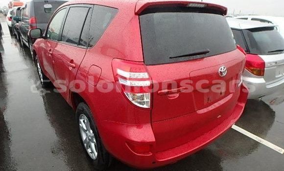 Buy Used Toyota RAV4 Red Car in Honiara in Guadalcanal Buy Used Toyota RAV4 Red Car in Honiara in Guadalcanal
