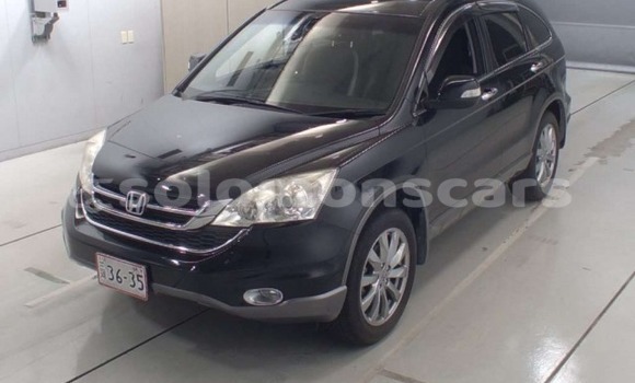 Acheter Occasion Voiture Honda CR–V Noir à Honiara, Guadalcanal