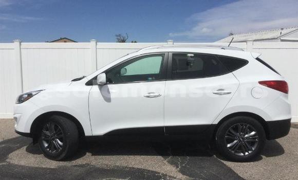 Acheter Occasion Voiture Hyundai Tuscon Autre à Gizo, Western