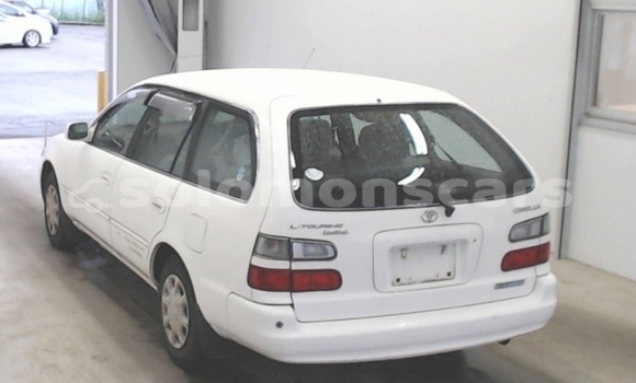 Buy Used Toyota Corolla White Car in Honiara in Guadalcanal Buy Used Toyota Corolla White Car in Honiara in Guadalcanal