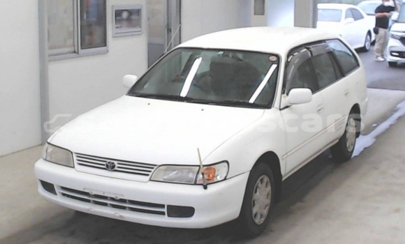 Buy Used Toyota Corolla White Car in Honiara in Guadalcanal Buy Used Toyota Corolla White Car in Honiara in Guadalcanal
