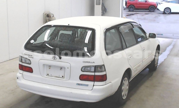 Buy Used Toyota Corolla White Car in Honiara in Guadalcanal Buy Used Toyota Corolla White Car in Honiara in Guadalcanal