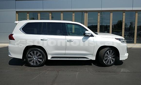 Acheter Occasion Voiture Lexus LX 570 Blanc à Baolo, Isabel
