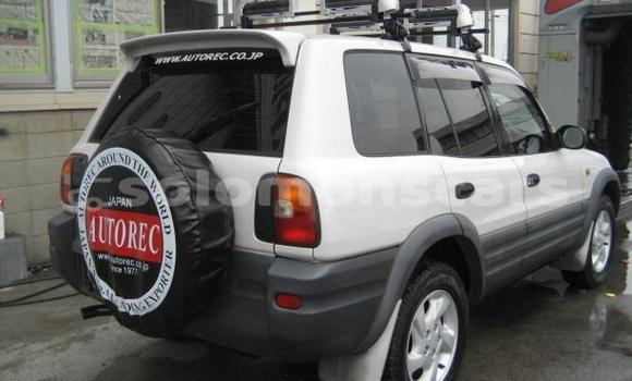 Buy Used Toyota RAV4 Other Car in Nendo in Temotu Buy Used Toyota RAV4 Other Car in Nendo in Temotu