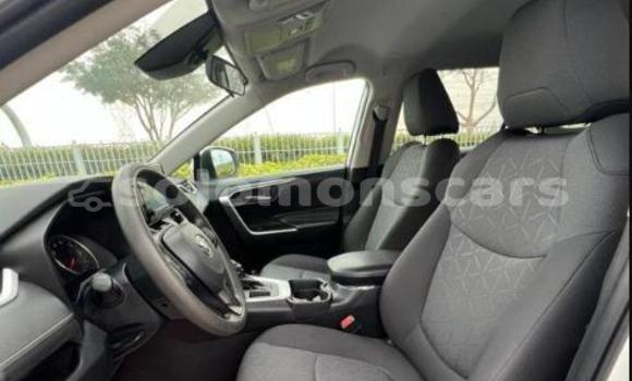 Buy Used Toyota RAV4 White Car in Barora Island in Isabel Buy Used Toyota RAV4 White Car in Barora Island in Isabel