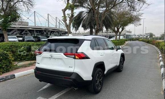 Buy Used Toyota RAV4 White Car in Barora Island in Isabel Buy Used Toyota RAV4 White Car in Barora Island in Isabel