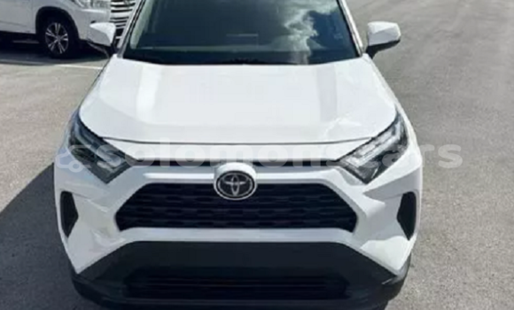 Buy Used Toyota RAV4 Silver Car in Peava in Western