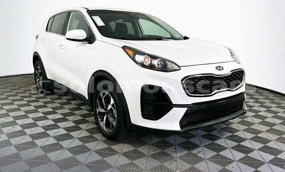 Buy Used Kia Sportage White Car in Barora Island in Isabel Buy Used Kia Sportage White Car in Barora Island in Isabel