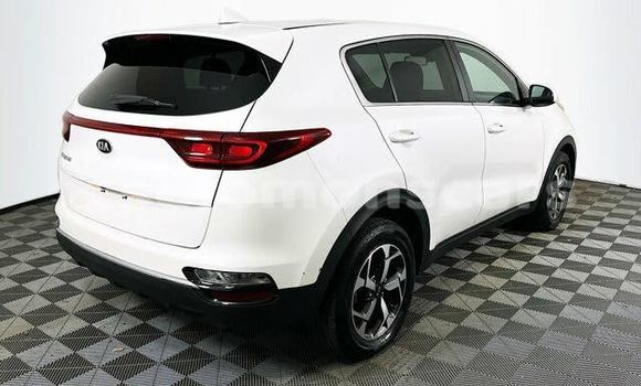 Buy Used Kia Sportage White Car in Barora Island in Isabel Buy Used Kia Sportage White Car in Barora Island in Isabel