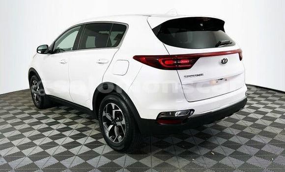 Buy Used Kia Sportage White Car in Barora Island in Isabel Buy Used Kia Sportage White Car in Barora Island in Isabel