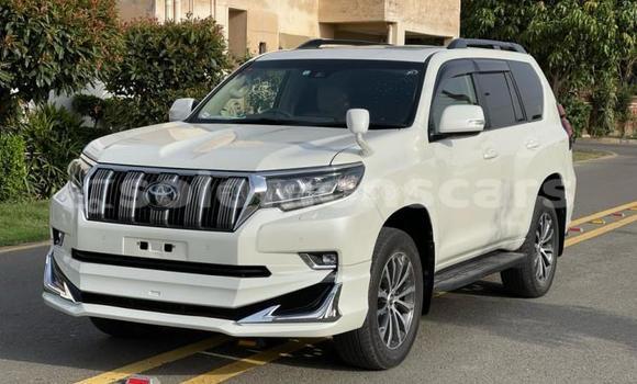 Acheter Occasion Voiture Toyota Land Cruiser Prado Blanc à Buala, Isabel