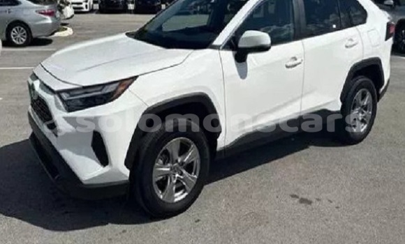 Buy Used Toyota RAV4 White Car in Dingo Dingo in Malaita
