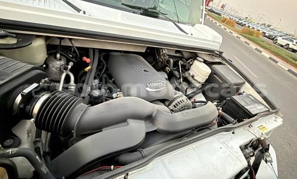 Buy Import Hummer H2 White Car in Honiara in Guadalcanal Buy Import Hummer H2 White Car in Honiara in Guadalcanal