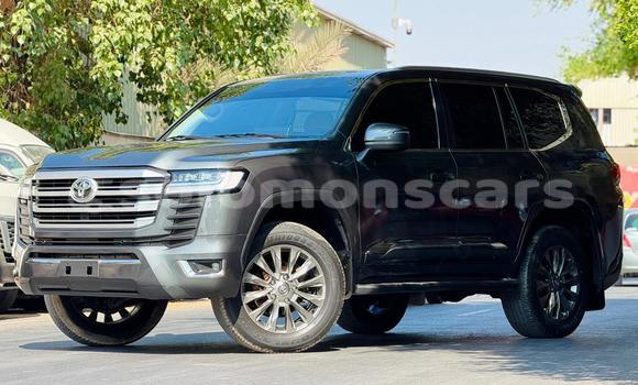 Buy Import Toyota Land Cruiser Other Car in Honiara in Guadalcanal Buy Import Toyota Land Cruiser Other Car in Honiara in Guadalcanal