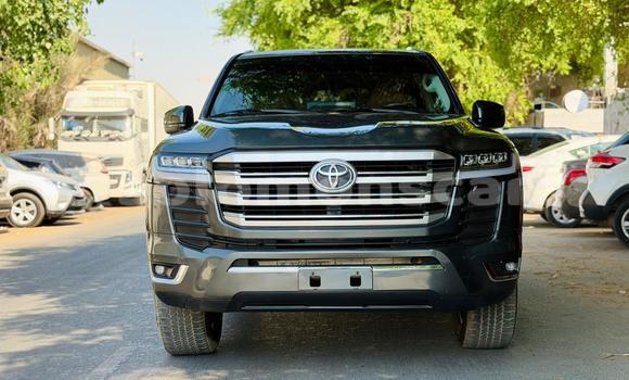 Buy Import Toyota Land Cruiser Other Car in Honiara in Guadalcanal Buy Import Toyota Land Cruiser Other Car in Honiara in Guadalcanal