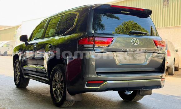 Buy Import Toyota Land Cruiser Other Car in Honiara in Guadalcanal Buy Import Toyota Land Cruiser Other Car in Honiara in Guadalcanal