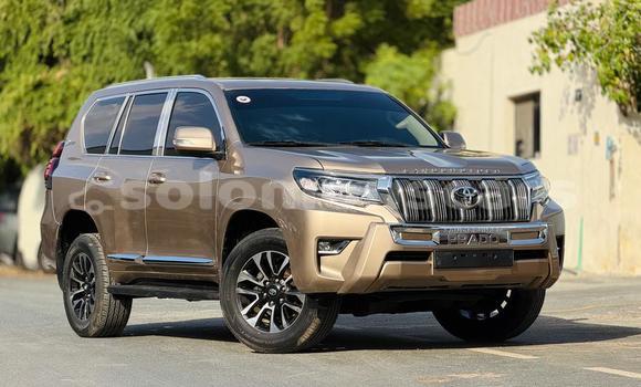 Buy Import Toyota Land Cruiser Prado Other Car in Honiara in Guadalcanal