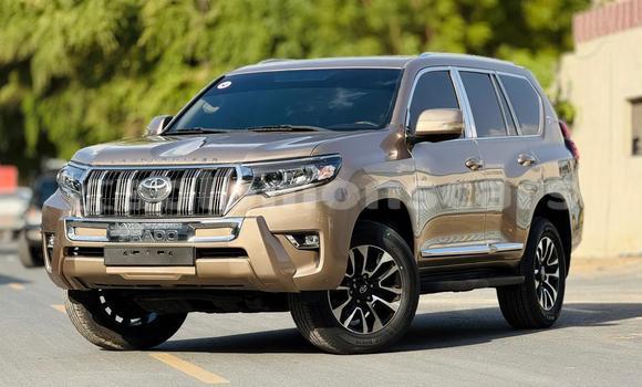 Buy Import Toyota Land Cruiser Prado Other Car in Honiara in Guadalcanal Buy Import Toyota Land Cruiser Prado Other Car in Honiara in Guadalcanal