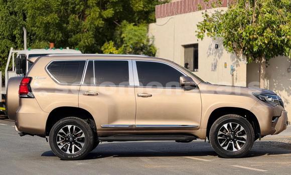 Buy Import Toyota Land Cruiser Prado Other Car in Honiara in Guadalcanal Buy Import Toyota Land Cruiser Prado Other Car in Honiara in Guadalcanal