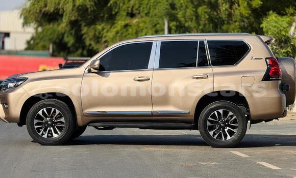 Buy Import Toyota Land Cruiser Prado Other Car in Honiara in Guadalcanal Buy Import Toyota Land Cruiser Prado Other Car in Honiara in Guadalcanal