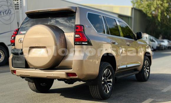 Buy Import Toyota Land Cruiser Prado Other Car in Honiara in Guadalcanal Buy Import Toyota Land Cruiser Prado Other Car in Honiara in Guadalcanal