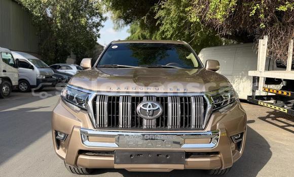 Buy Import Toyota Land Cruiser Prado Other Car in Honiara in Guadalcanal Buy Import Toyota Land Cruiser Prado Other Car in Honiara in Guadalcanal