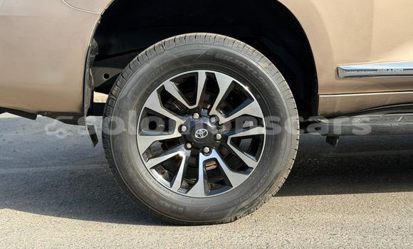 Buy Import Toyota Land Cruiser Prado Other Car in Honiara in Guadalcanal Buy Import Toyota Land Cruiser Prado Other Car in Honiara in Guadalcanal
