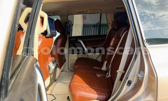 Buy Import Toyota Land Cruiser Prado Other Car in Honiara in Guadalcanal Buy Import Toyota Land Cruiser Prado Other Car in Honiara in Guadalcanal