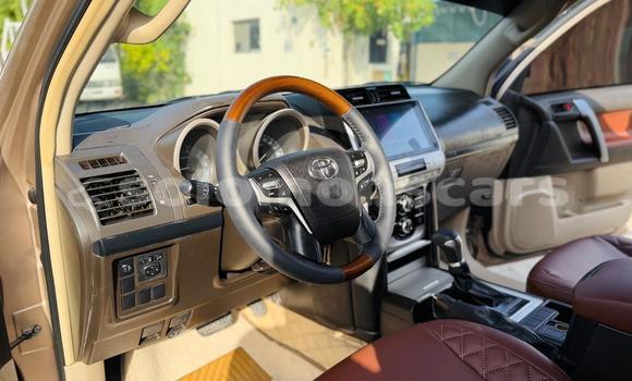 Buy Import Toyota Land Cruiser Prado Other Car in Honiara in Guadalcanal Buy Import Toyota Land Cruiser Prado Other Car in Honiara in Guadalcanal